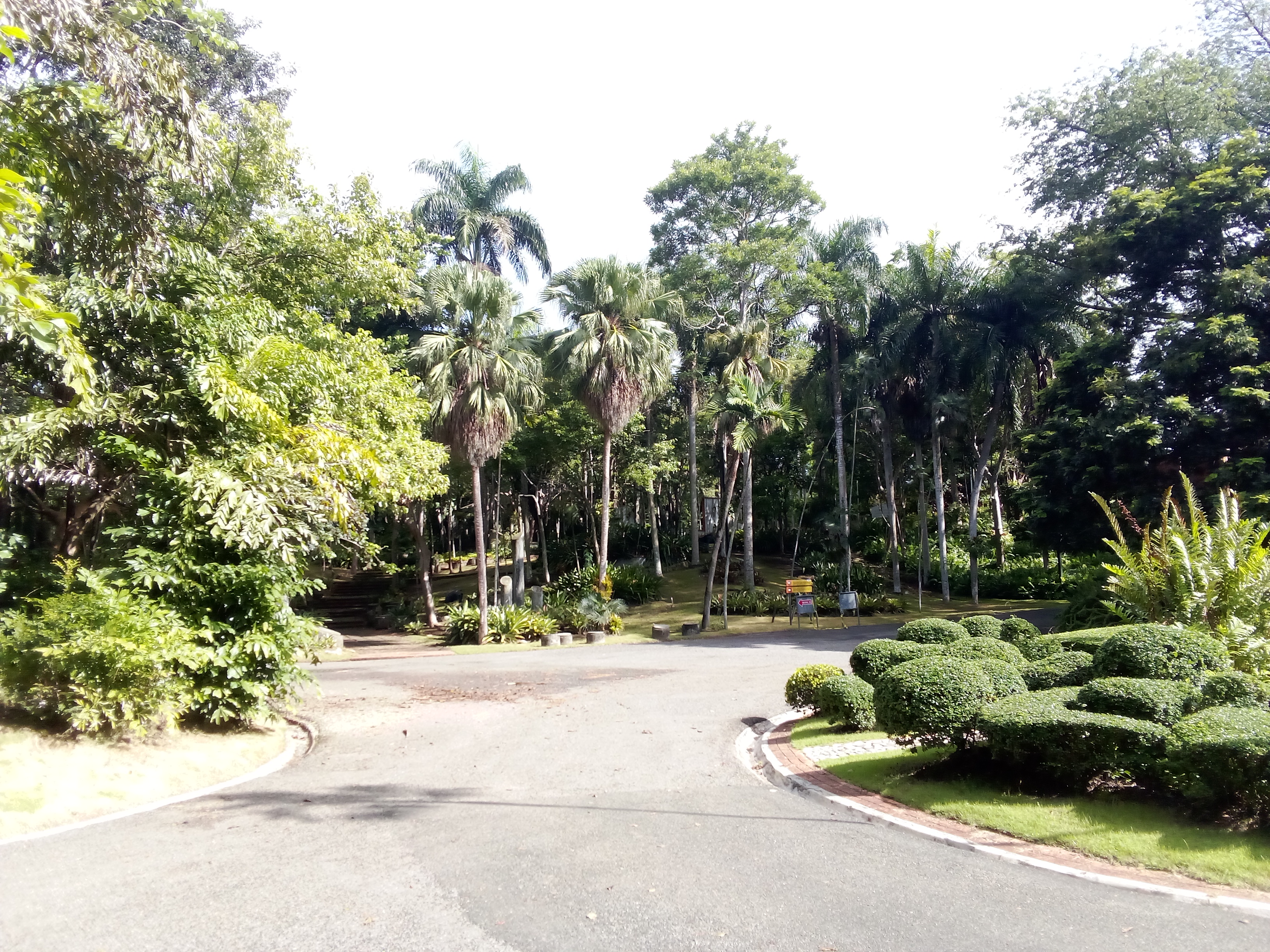 Jardin Botanique